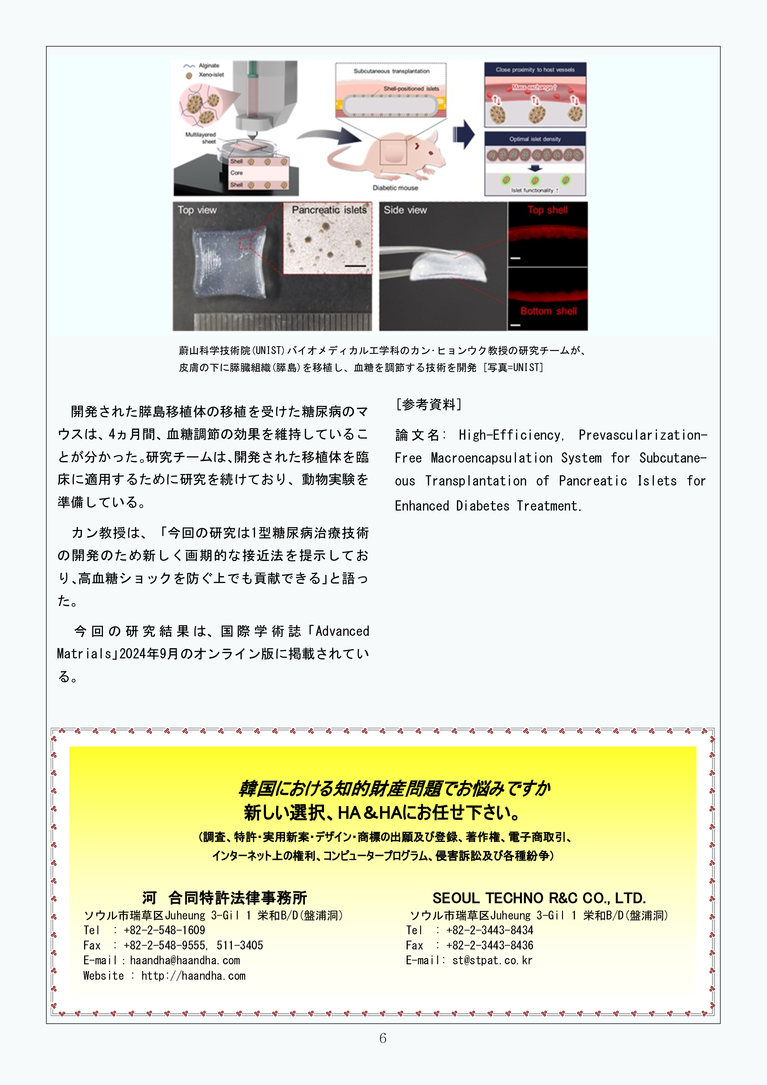 Newsletter_202412_6.png